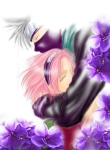 sakura e kakashi